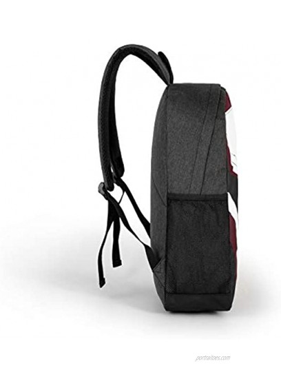 Dragon Hero Backpack School Bag Laptop Bag for Men Women